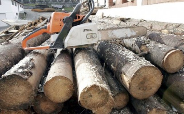 Prins în timp ce tăia copacii, în apropiere de Deleni
